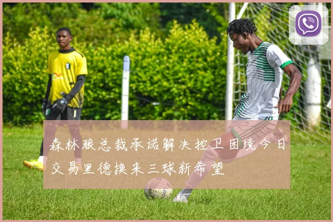 森林狼总裁承诺解决控卫困境今日交易里德换来三球新希望