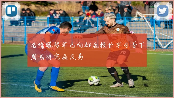 名嘴曝绿军已向雄鹿报价字母哥下周或将完成交易